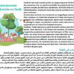 Une journée enchantée en forêt